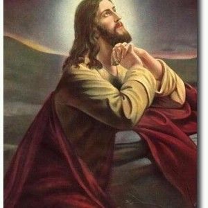 Meet your Posher, Mimi